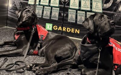 TD Garden
