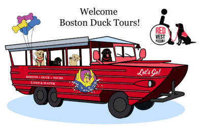 Boston Duck Tours